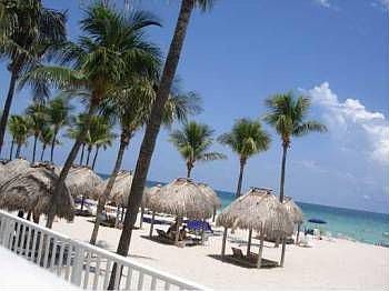 1st image of 16699 Collins Ave APT 902
