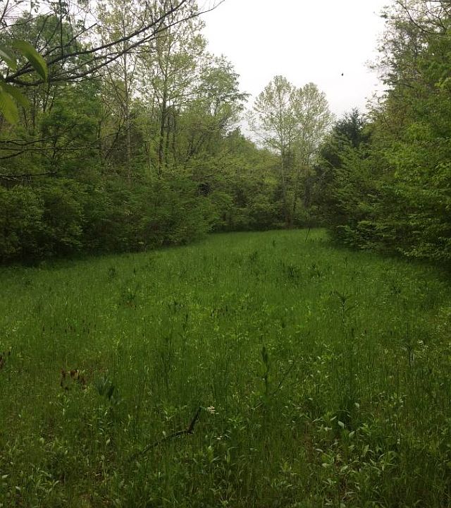 1st image of 89 Isham Ln