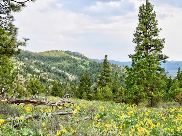 151 Bear Tracks Rd, Drummond, MT 59832