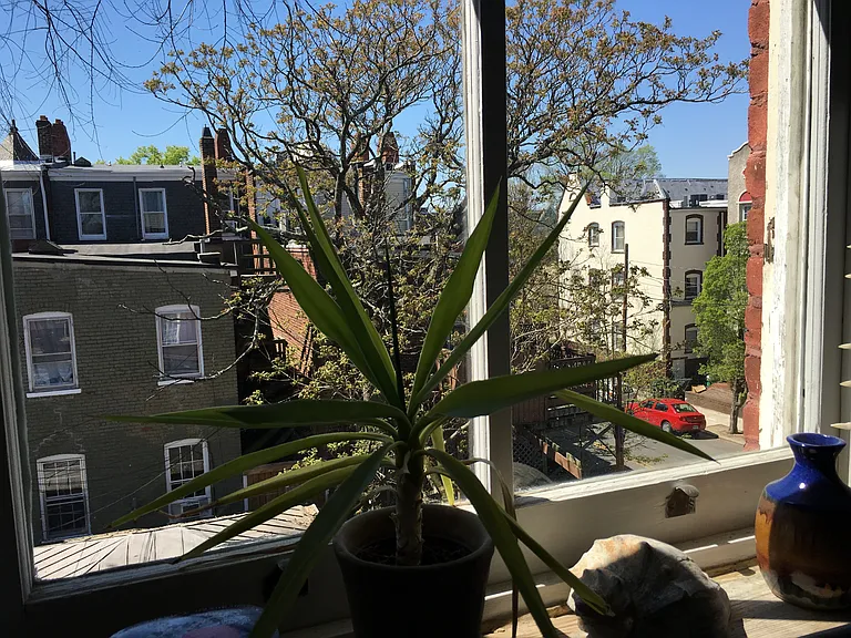 203 N Lombardy St #2 — Photo 8