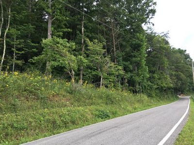 Rafter Rd, Tellico Plains, TN, 37385