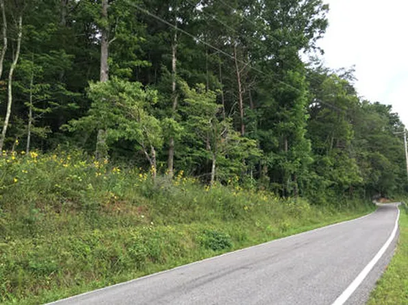 Rafter Rd, Tellico Plains, TN 37385