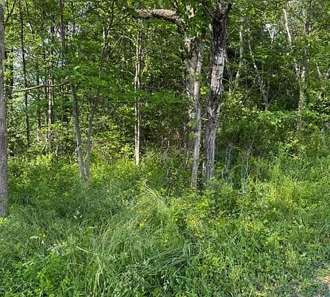 2nd image of Shust Rd