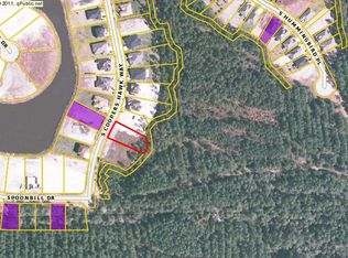 118 S Coopers Hawk Way, Palm Coast, FL 32164