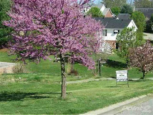 609 Avery Ct photo 1