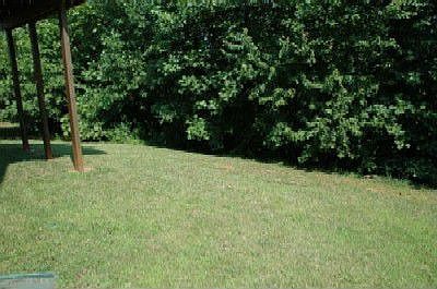 Private Wooded Backyard