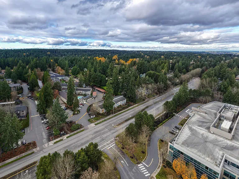 Timberwood — Photo 36