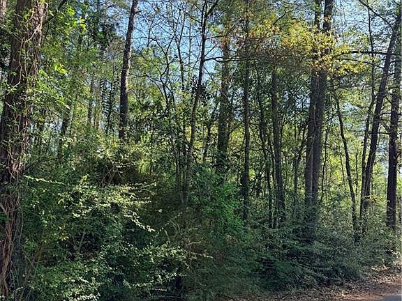 5th image of 0 State Highway 165 Lot 1-3