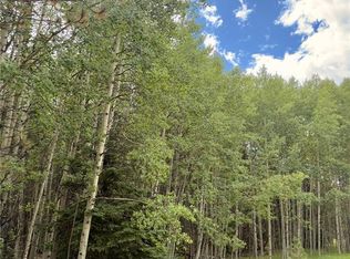 616 Spring Valley Ln, Florissant, CO 80816