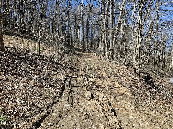 2nd image of 0 Shuler Hollow Rd