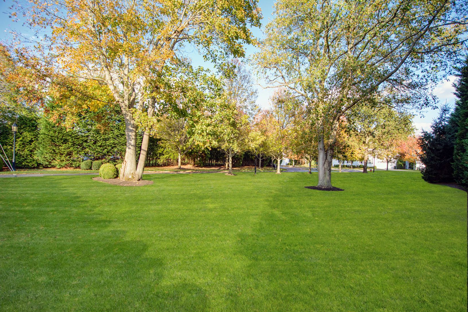  The Polo Club grounds