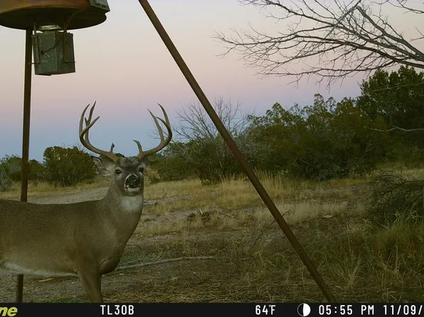 1384 Cougar Trl, Ozona, TX 76943