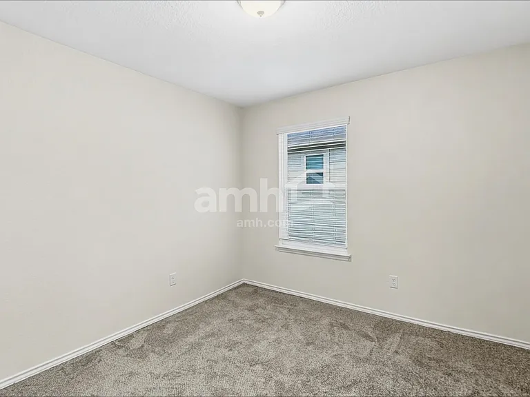 213 Texas Thistle — Photo 15