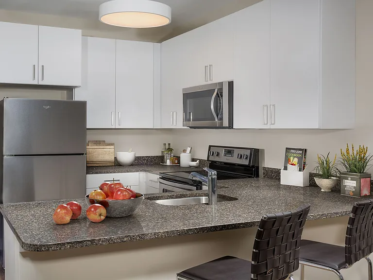 Contemporary, lux kitchen details