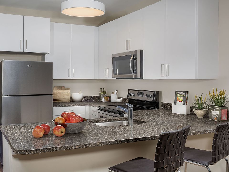 Contemporary, lux kitchen details