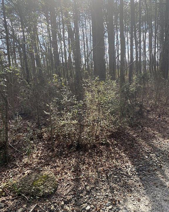 1st image of 1746 Braselton Hwy Lot 0