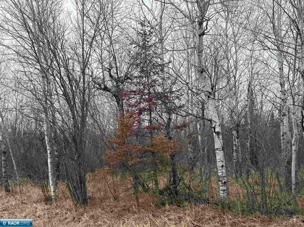 Peary Dr S, Eveleth, MN 55734