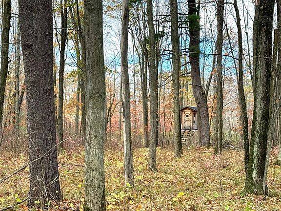 4th image of 208220 Kane Lane