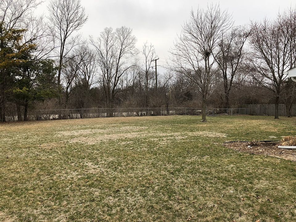 Back yard