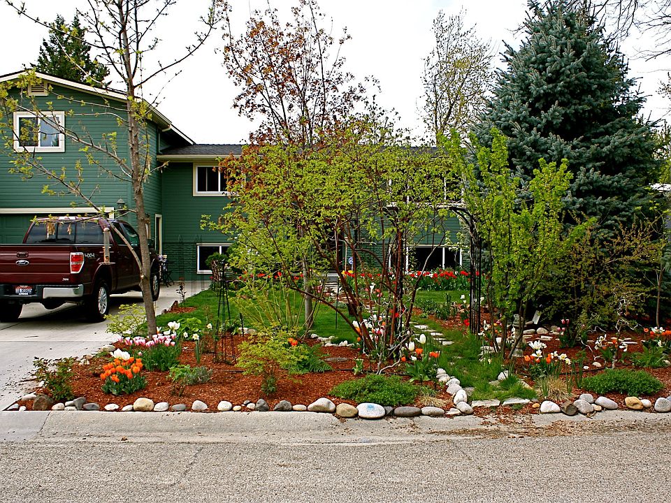 Front Yard