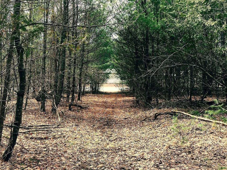 driveway/road 