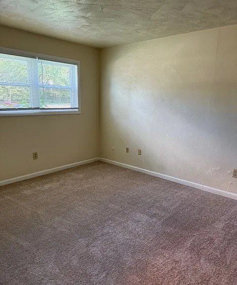 316 Homestead Ln #C — Photo 9