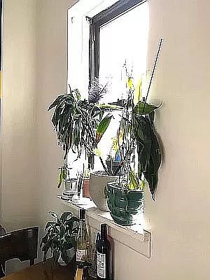 5th image of 495 W End Ave APT 3K
