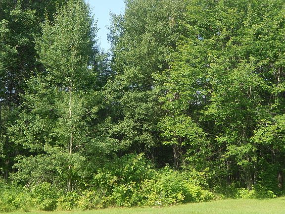2nd image of 4519 Old Highway 33