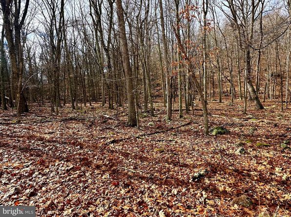 30 & 31 Boonedock Dr, Upper Tract, WV 26866