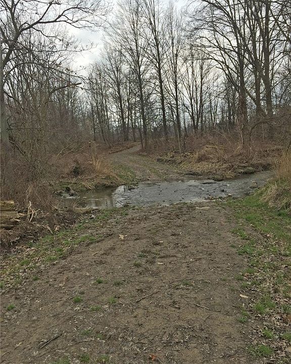 2nd image of Butternut Ridge Rd