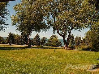 1035681-2