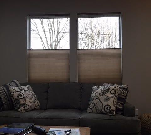 Living Room Windows