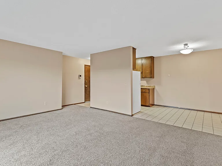 Living room/dining room