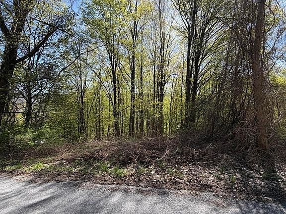 5th image of 2A-3A Reservoir Rd