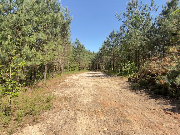 2nd image of 4 New Creech Rd #4