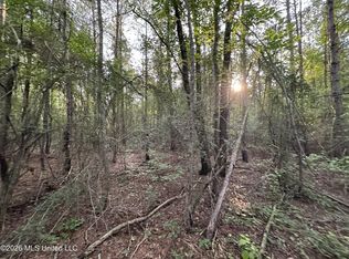 N Lot 2 River Rd Lot 2, Summit, MS 39666
