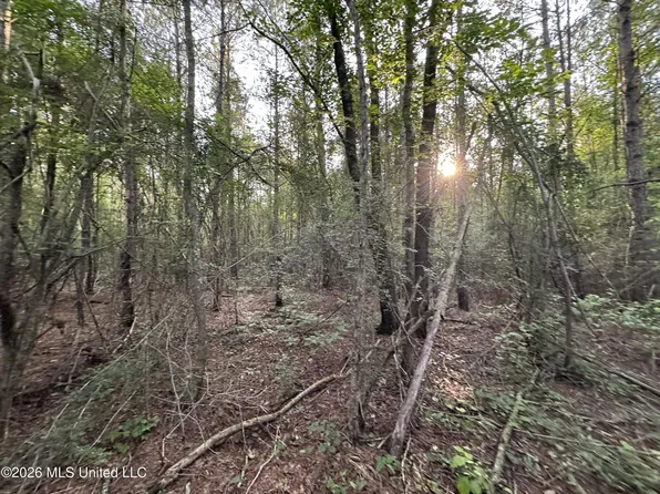 N Lot 2 River Rd Lot 2, Summit, MS 39666