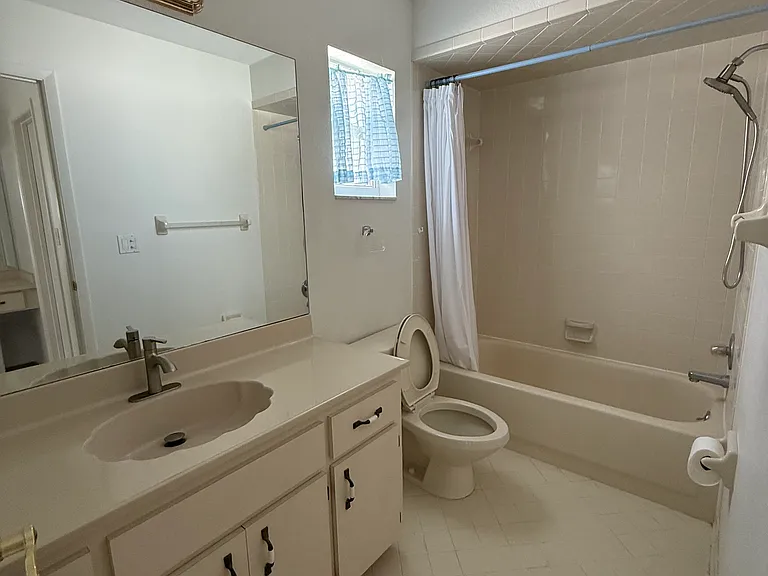 Master full bathroom