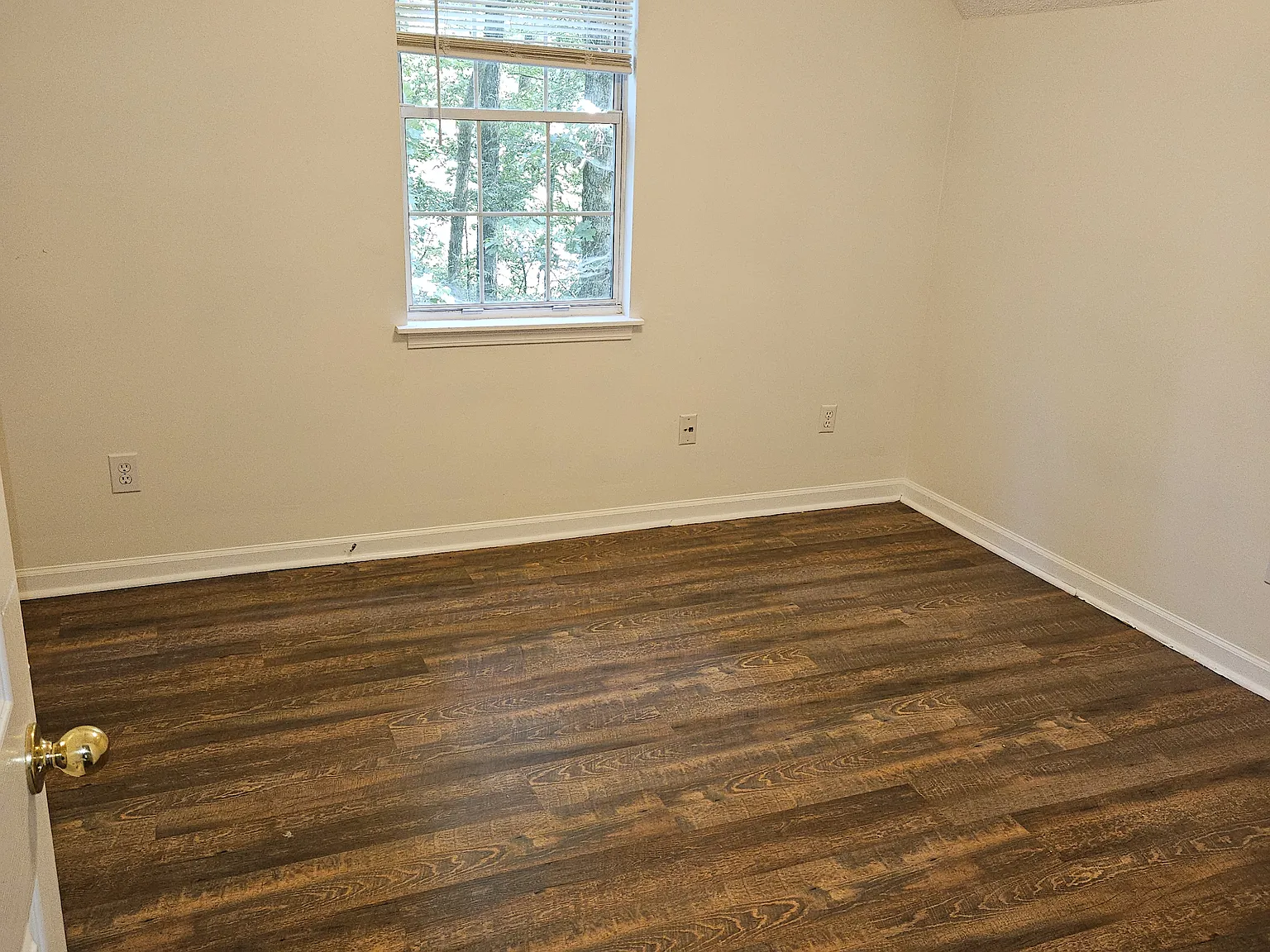 1 bed, 1014 sqft, $800 — Photo 4