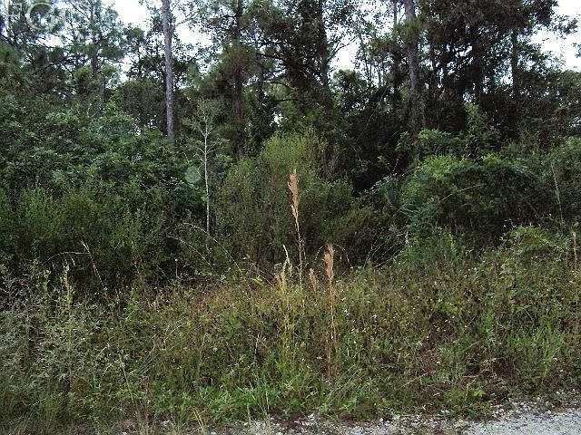 2nd image of 20488 Fern Cir