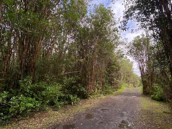 Road 5 Lot 4045, Kurtistown, HI 96760