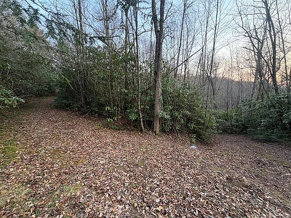 3rd image of Gold Creek Rd