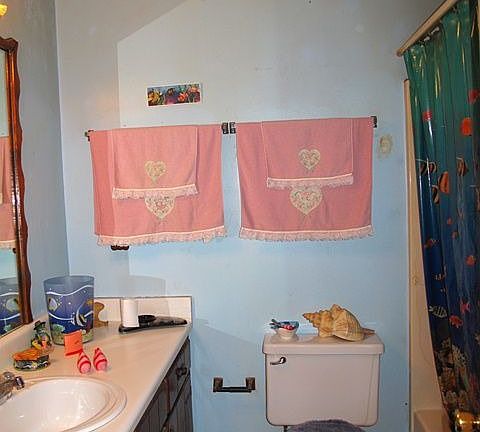 Hall bath