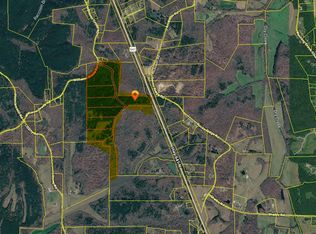 696 Williams Grove Rd, Camden, TN 38320