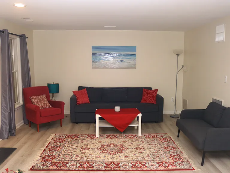 Lower-Level Living Room