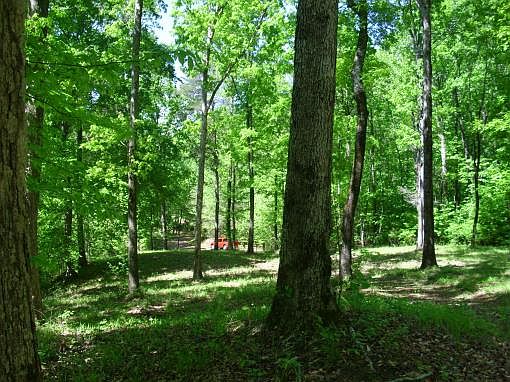 4th image of Chalk Bluff Ln