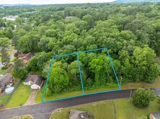 12 & 13 Apache St, Hot Springs National Park, AR 71901