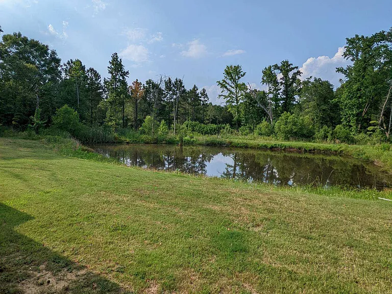 15547 Farm To Market Rd #279 — Photo 18