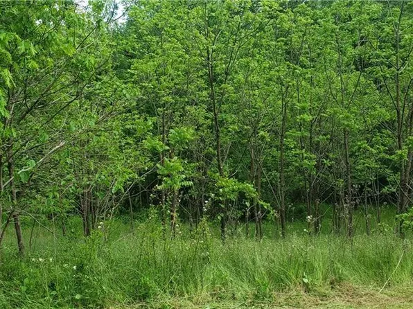 180 Carters Ridge Rd #22, Advance, NC 27006