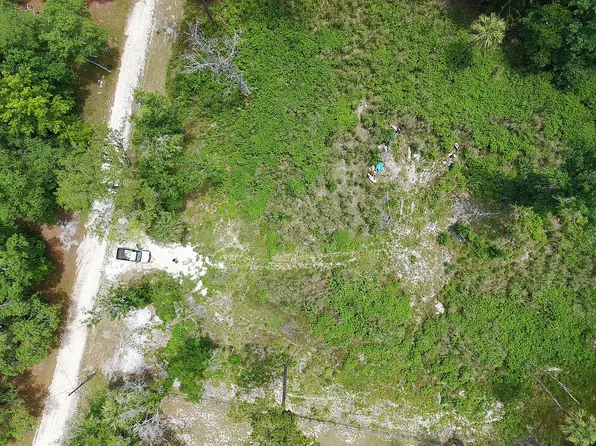 119 Wildcat Trl, Palatka, FL 32177